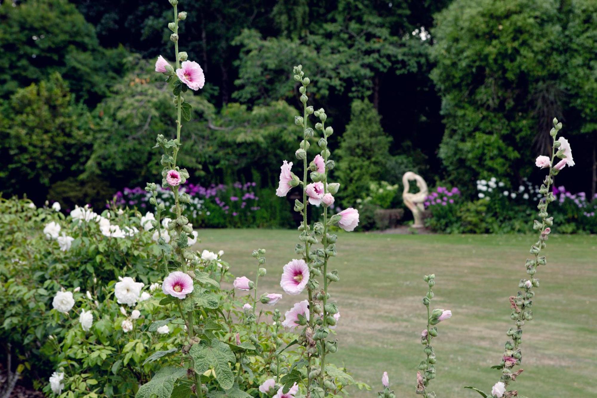 Karetu Downs Farm Stay Hawarden Extérieur photo