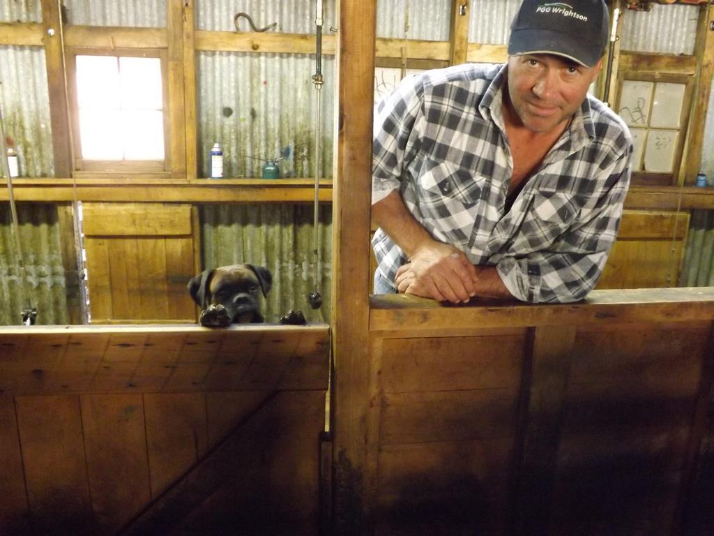 Karetu Downs Farm Stay Hawarden Extérieur photo
