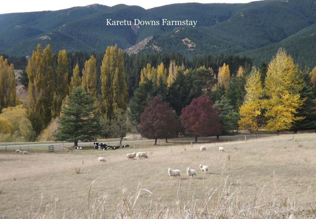 Karetu Downs Farm Stay Hawarden Extérieur photo