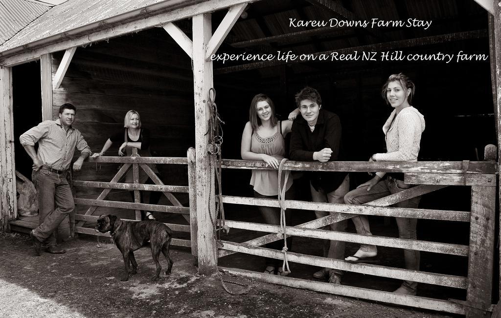 Karetu Downs Farm Stay Hawarden Extérieur photo
